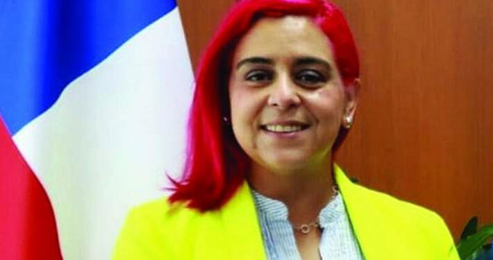 Seremi de Bienes Nacionales Los Lagos renuncia tras críticas por reconocer que fue abogada de narcos