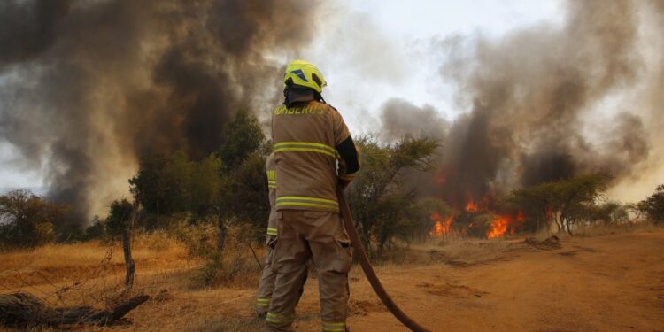 Incendios forestales aumentaron 120% en el extremo norte del país el último año