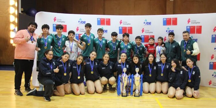 Juegos deportivos: Colegio de Osorno y Santo Tomás de Puerto Montt clasificaron en vóleibol