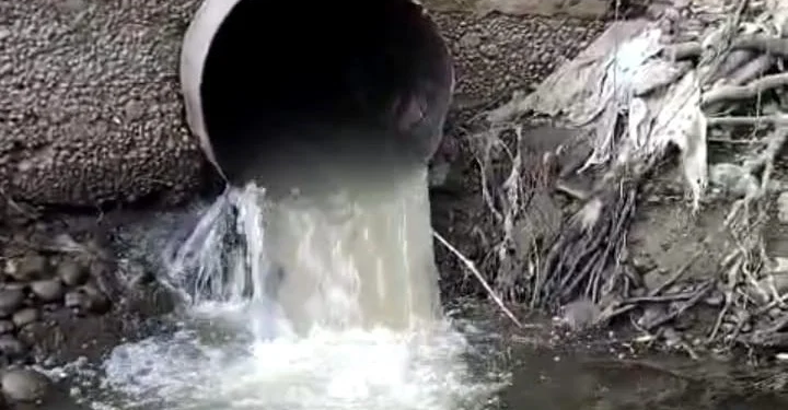 Nombran a nuevo fiscalizador de Superintendencia de Medio Ambiente Los Lagos