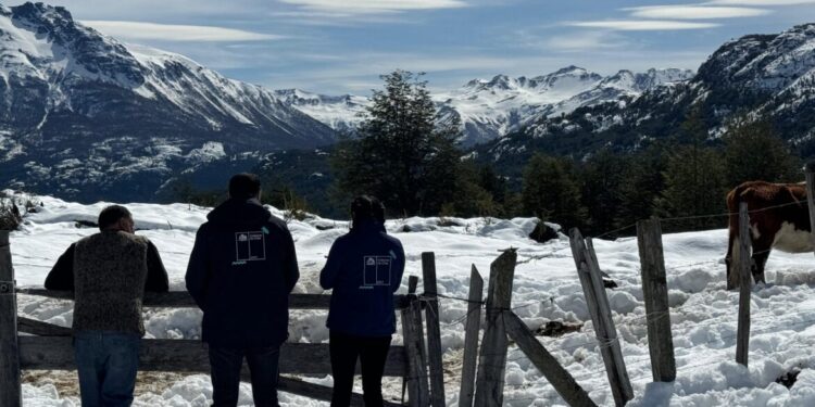 Decretan emergencia agrícola para provincia de Palena y comuna de Cochamó