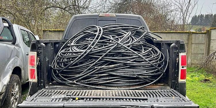 Osorno: Sujeto fue sorprendido robando fibra óptica en ruta U-55