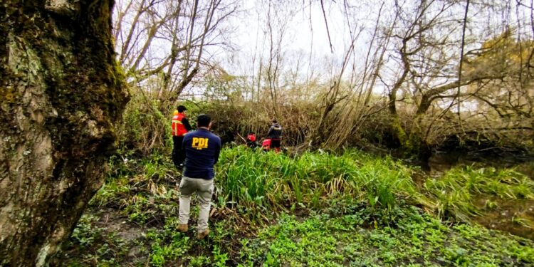 Encuentran cadáver de adulto mayor de 72 años desaparecido en Osorno