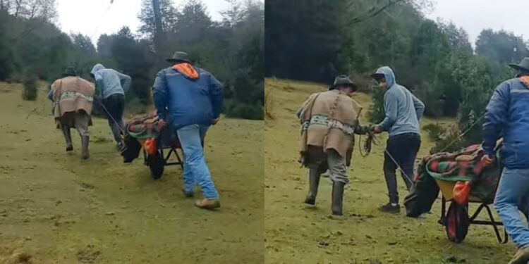 Paciente grave fue trasladado en carretilla en Panguipulli: Ambulancia no le dio prioridad