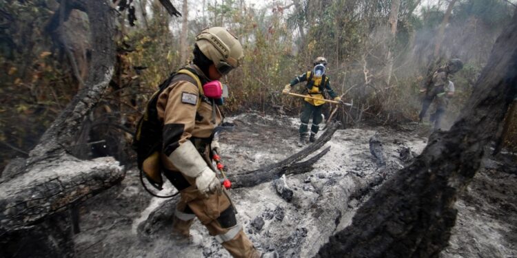 Bolivia recibió más de 800 kilos de ayuda humanitaria de Chile para combatir incendios