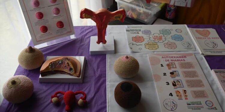 Lanzan programa de cánceres en mujeres de la provincia de Osorno