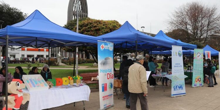 Feria de la salud mental reunió a comunidad y dispositivos en Plaza de Armas de Osorno