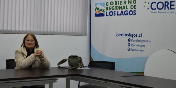 Consejo Regional de Los Lagos aprueba ayudas técnicas para Fundación Las Rosas