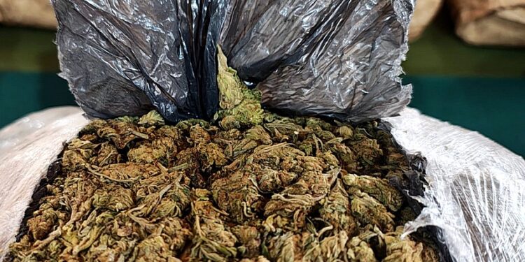Osorno: Decomisan más de 15 kilos de marihuana en control vehicular