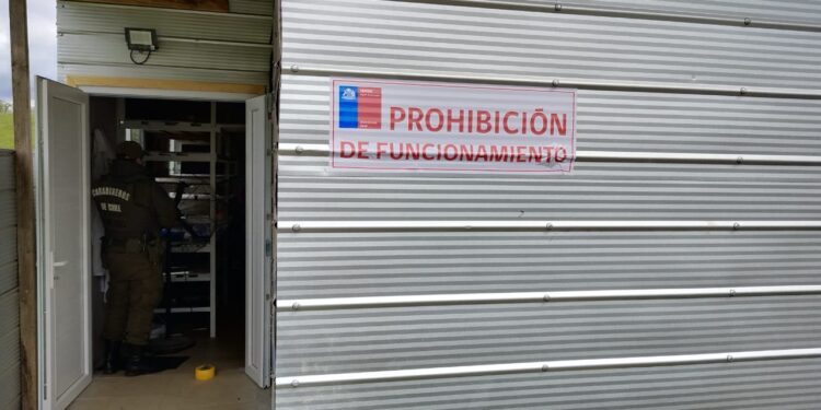 Decomisan casi 15 kilos de queso en dos plantas de Purranque: no tenían permisos