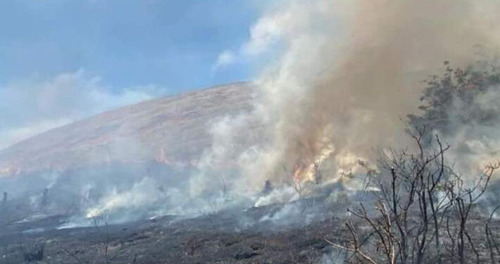 Incendio afecta al Parque Nacional Rapa Nui: Senapred declaró alerta roja
