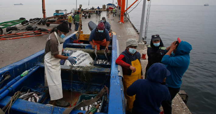 Ley de Pesca: Cámara vota hoy corazón del proyecto que tiene en máxima alerta al sector industrial