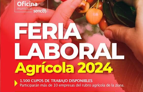 Osorno: Feria Laboral Agrícola ofrecerá 1.500 cupos de trabajo este viernes