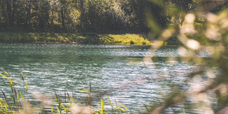 Encuentran cuerpo en río Forrahue: investigan causas de deceso e identidad