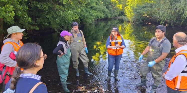 Realizan monitoreo participativo en el Río Damas de Osorno