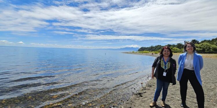 60 denuncias por acceso a playas se han reportado en la región de Los Lagos este año