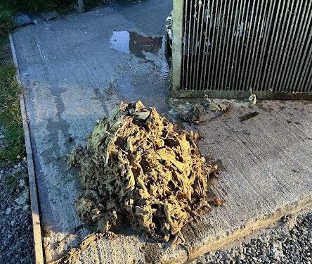 Fiestas de fin de año: Llaman a hacer buen uso del alcantarillado para evitar obstrucciones