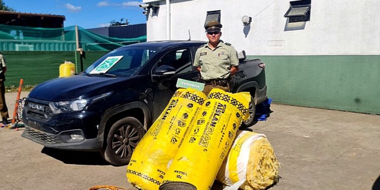 Detienen a dos hombres tras robo de vehículo y posesión de especies en San Pablo