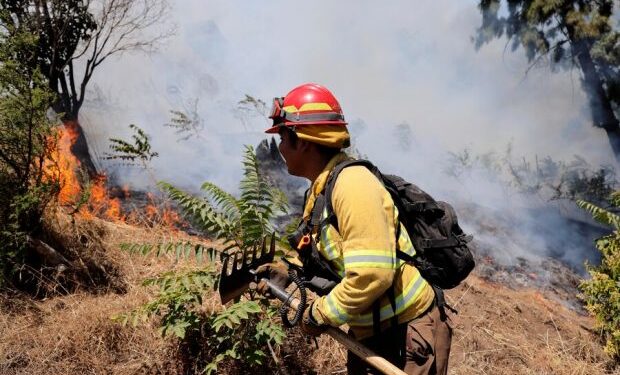 Declaran alerta temprana preventiva para provincia de Osorno por incendios forestales