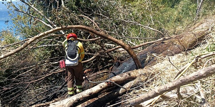 Dos detenidos por quemas ilegales en provincia de Osorno: hay prohibición hasta el 31 de marzo