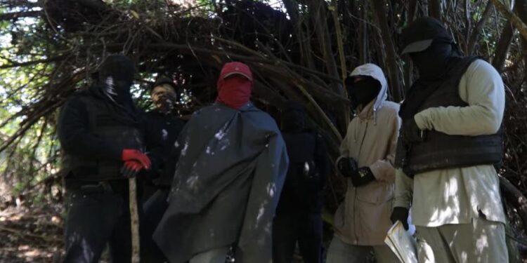WAM reconoce que miembros participaron en asesinatos, robos y tráfico