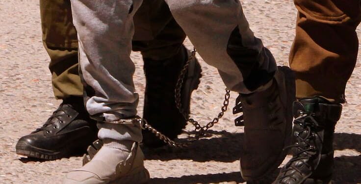 Siete personas son detenidas en La Araucanía por extorsión y usurpación de predios agrícolas