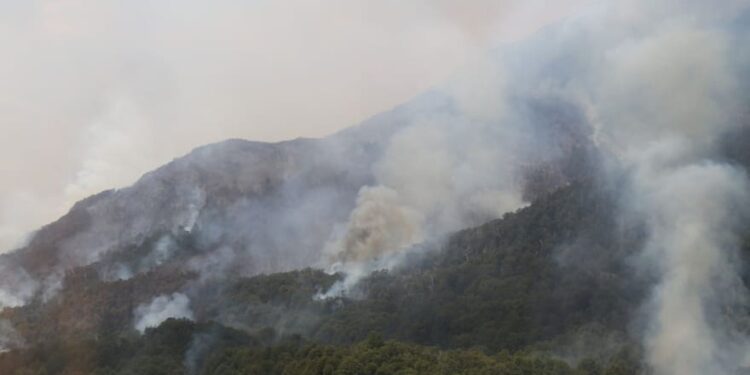 Brutal incendio en Bariloche: Fuego arrasa con más de 1.800 hectáreas
