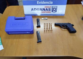 Aduana detecta arma, municiones y corales protegidos en paso fronterizo Cardenal Samoré