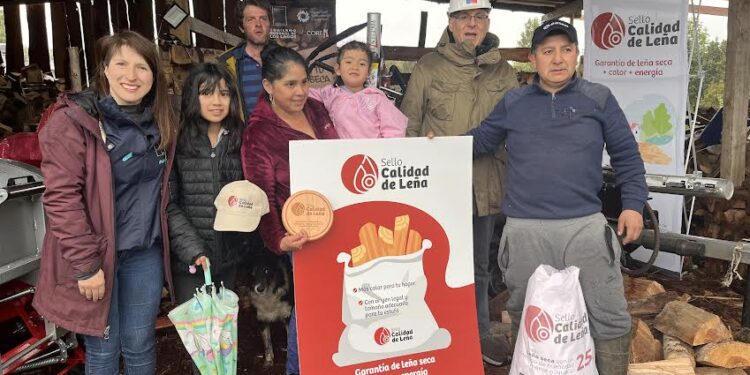 Un total de 93 comerciantes de la región de Los Lagos tienen el Sello Calidad de Leña