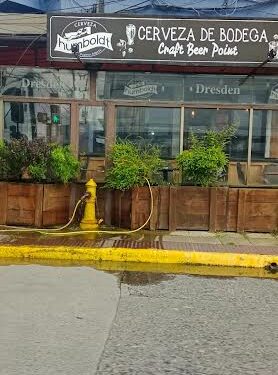 Suralis inició acciones legales por usurpación de agua desde un grifo en pleno centro de Puerto Montt