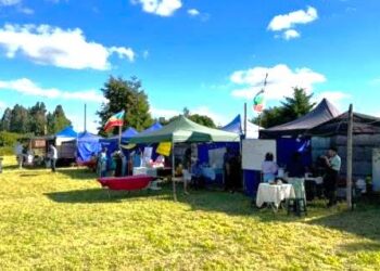Osorno: Saesa hace llamado a la seguridad y prevención en eventos de verano