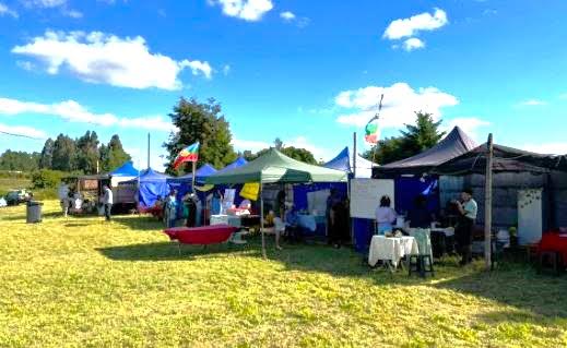 Osorno: Saesa hace llamado a la seguridad y prevención en eventos de verano