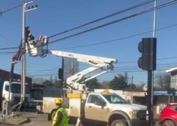 Saesa registró 140 postes chocados durante el 2024 en provincia de Osorno y el Ranco