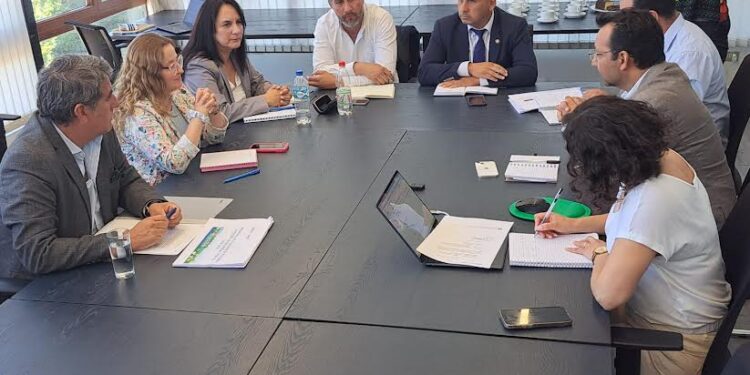 Consejo Regional de Los Lagos inicia trabajo de la Comisión Transitoria de Seguridad