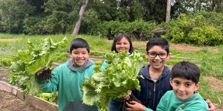 Escuela rural de Pichil ganó estación meteorológica tras participación en programa de Canal 13