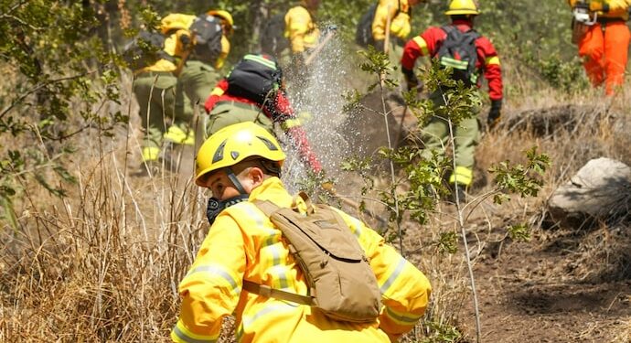 Tres brigadistas de CMPC mueren en combate de incendio forestal: siniestro ya afectó 400 hectáreas