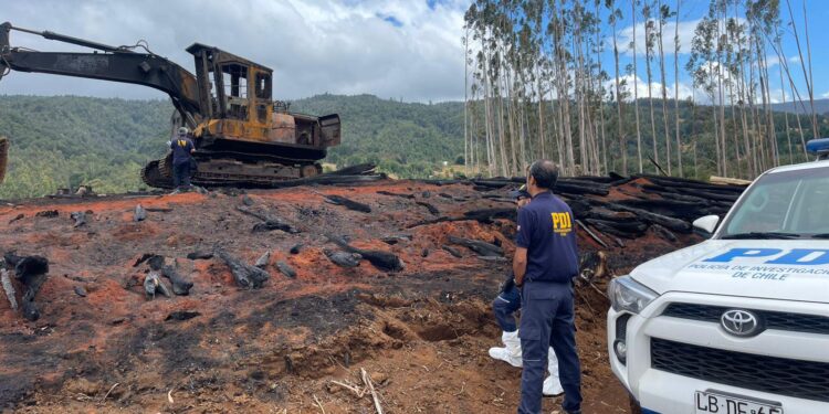 PDI investiga incendio forestal en sector Huitrapulli de San Juan de la Costa: se evalúa intencionalidad