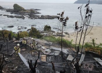 Incendio forestal en San Juan de la Costa dejó 3 casas destruidas y un bombero lesionado