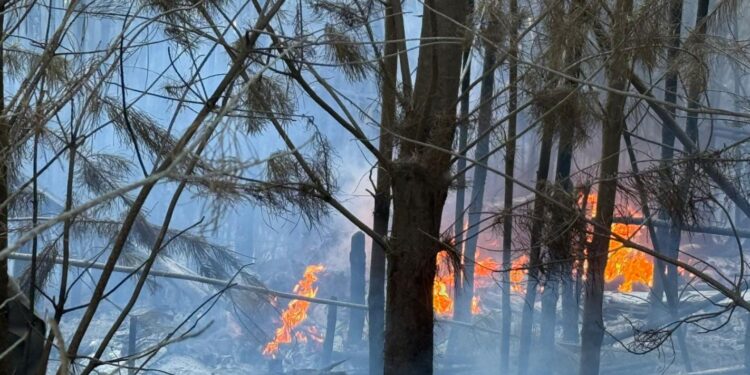 Helicóptero capotó en Paredones: se confirmaron tres muertos e inicio de incendio forestal