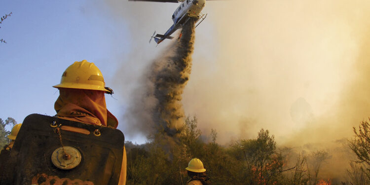 167 incendios forestales se han registrado en la región desde julio 2024 a enero 2025