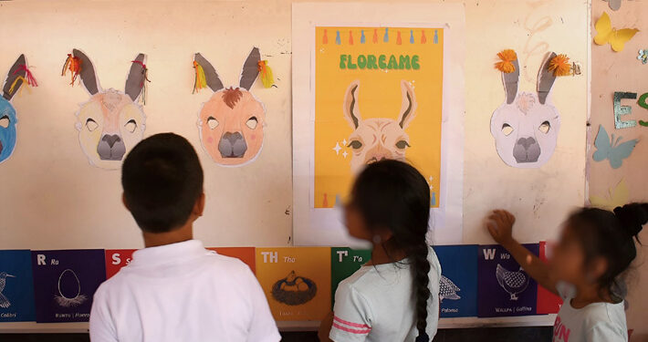 Mineduc exige implementar ramo sobre pueblos originarios a cientos de colegios