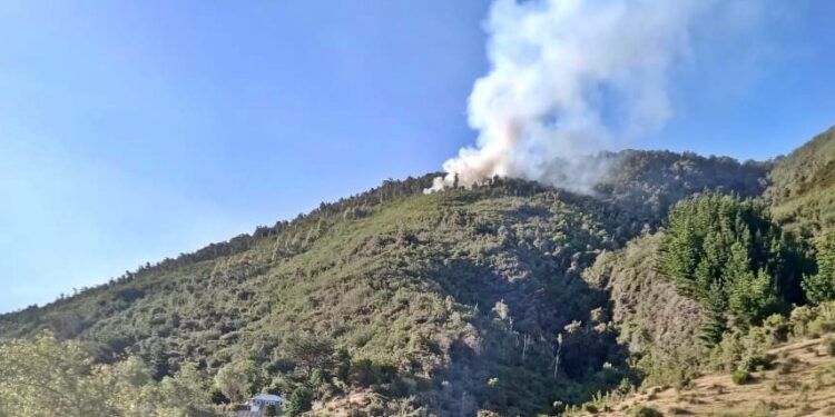 Dos incendios forestales activos se registran en San Juan de la Costa