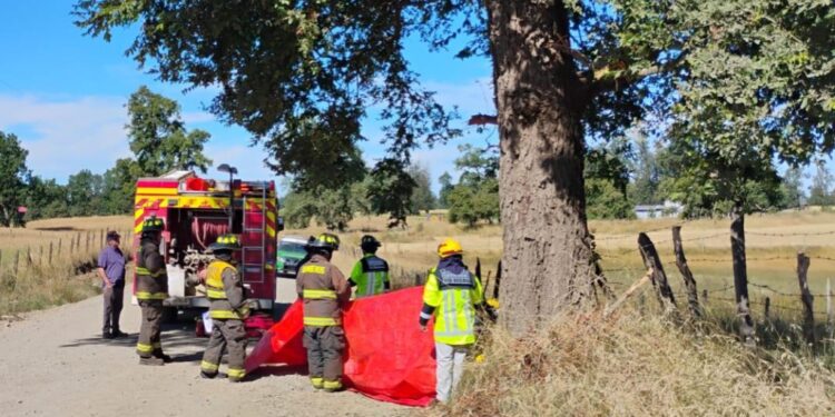 Conductor falleció luego de impactar su camioneta contra un árbol en el sector Chahuilco