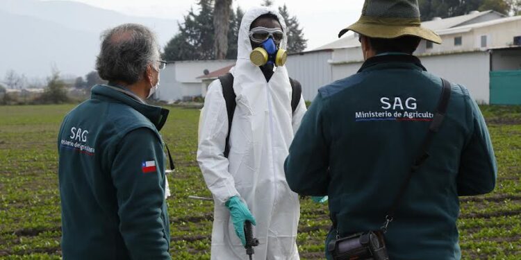 SAG prohíbe tres nuevos plaguicidas de uso agrícola