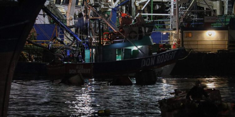 Naufragio en Talcahuano: Dos muertos tras hundimiento de embarcación pesquera
