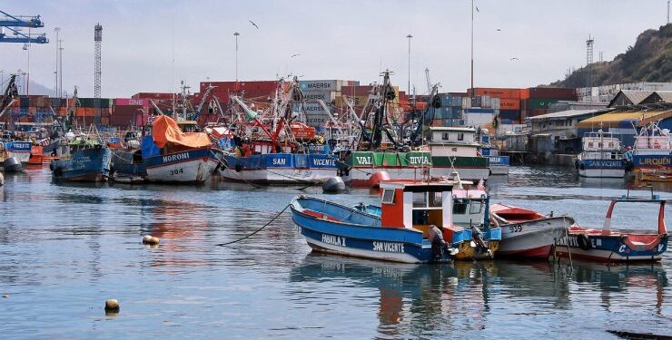 Continúan labores de búsqueda de dos personas tras naufragio de embarcación en Talcahuano