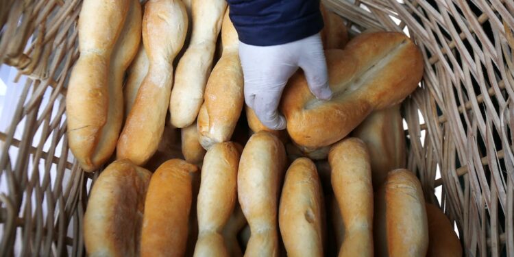 Emergencia agrícola en La Araucanía: ¿Subirá el precio del pan por los incendios forestales?