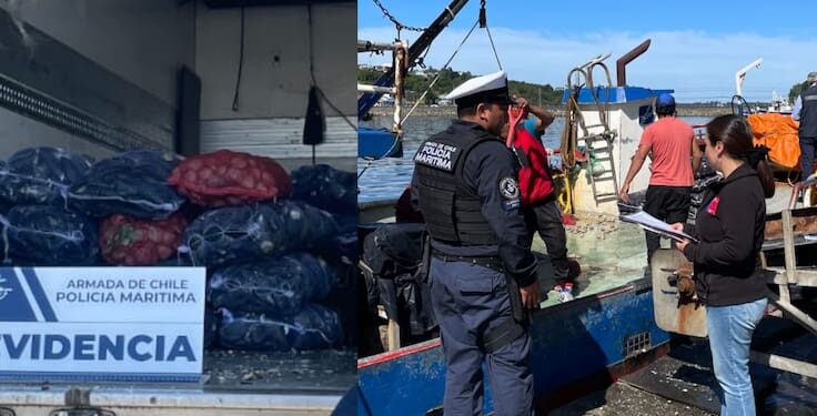 Detectan embarcación con más de 2.200 kilos de mariscos contaminados con marea roja en Los Lagos