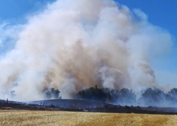 Incendio en San Pablo ha consumido más de 38 hectáreas: se mantiene combate