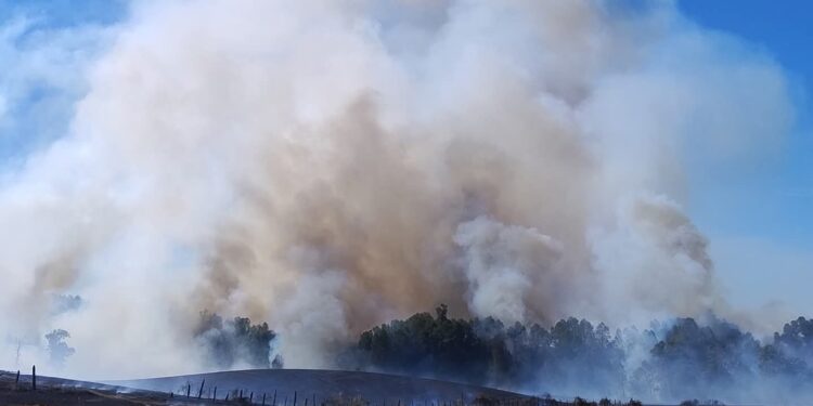 Incendio en San Pablo ha consumido más de 38 hectáreas: se mantiene combate